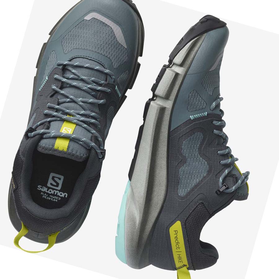 Tenis Senderismo Salomon WoPREDICT HIKE GORE-TEX Mujer Plateados | MX 2789DFM